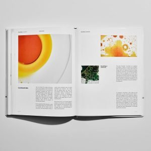 rdn-ingredients-book-04.jpg